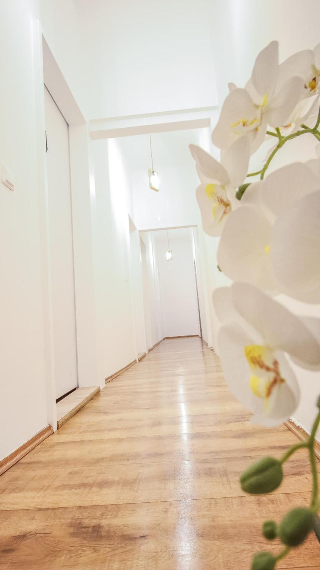 Comfortable Accommodations In The Alterlaa Area Lv6 Vienna Exterior photo